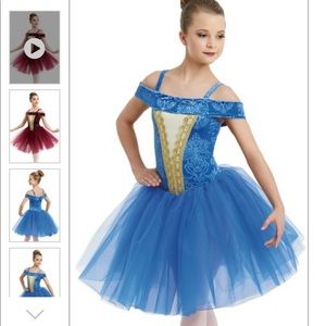 Small adult romantic ballet costume